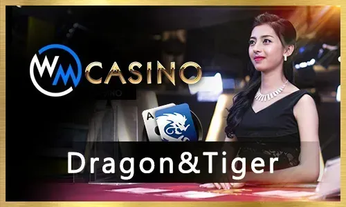 winph SA Gaming live casino